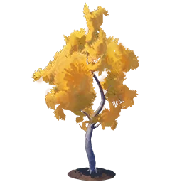 Adult Juniper Tree in Palia